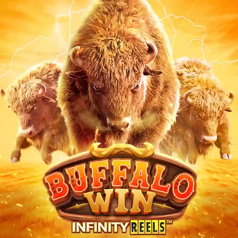 PGS Buffalo Win Slot Game - Radiante Casino